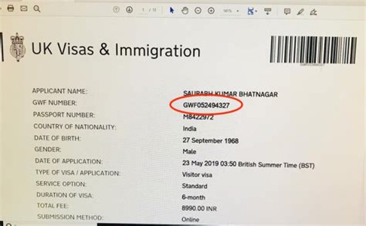 How do I fill my VFS UK visa application?