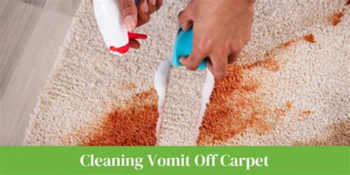 How do you clean vomit off carpet?