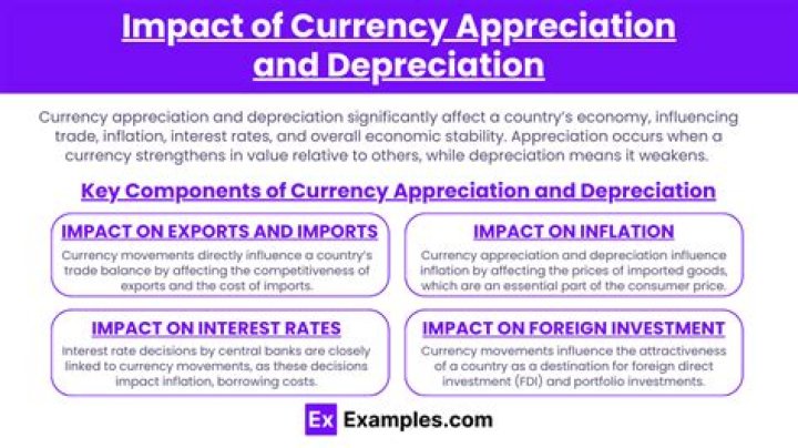 What is currency appreciation with example?